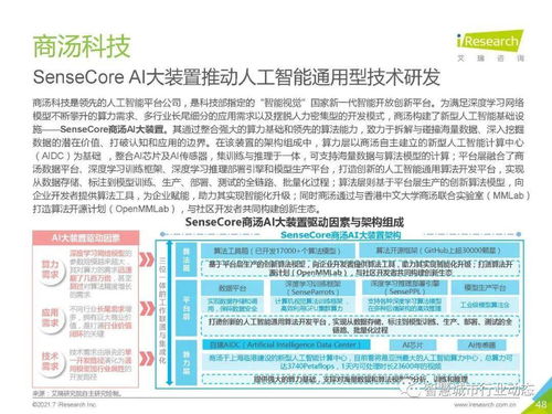 2021年中國(guó)人工智能基礎(chǔ)層行業(yè)報(bào)告 人工智能基礎(chǔ)軟件開(kāi)發(fā)